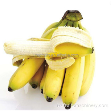 Автоматично растение за преработка на бананов сок